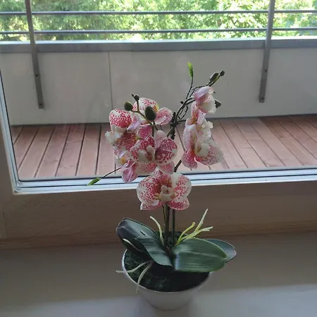 Apartment Fortuuna 5