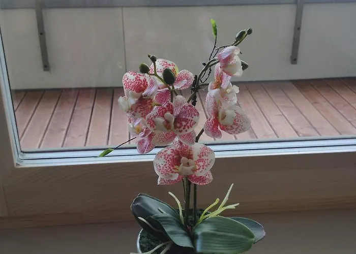 Апартаменты Fortuuna 5